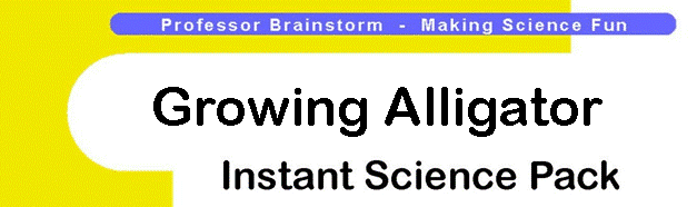 Professor Brainstorm's Science Shop - Growing Alligator